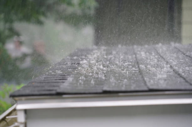 Best Roof Maintenance and Cleaning  in Portage Lakes, OH